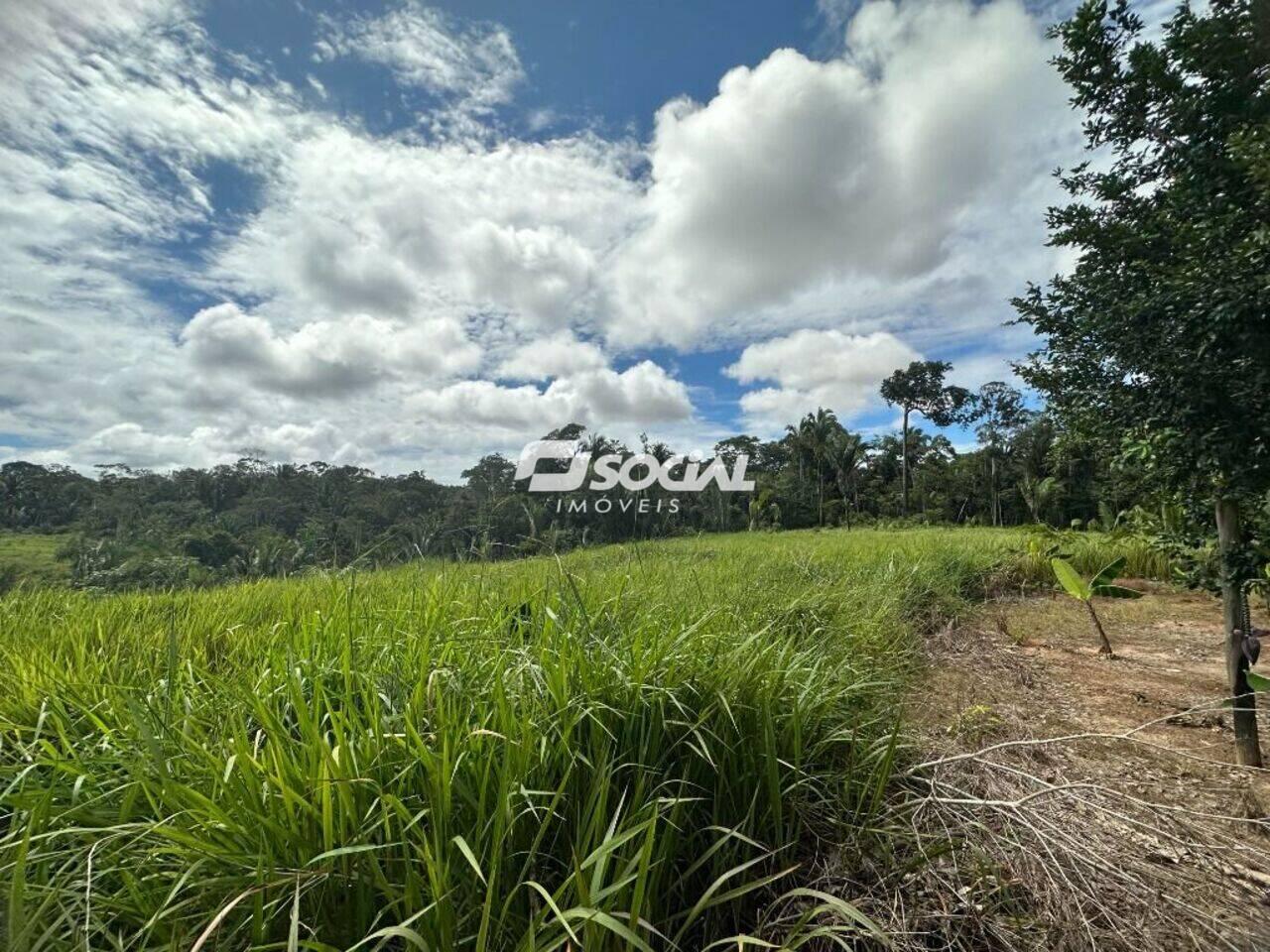 Fazenda Balsa, Porto Velho - RO