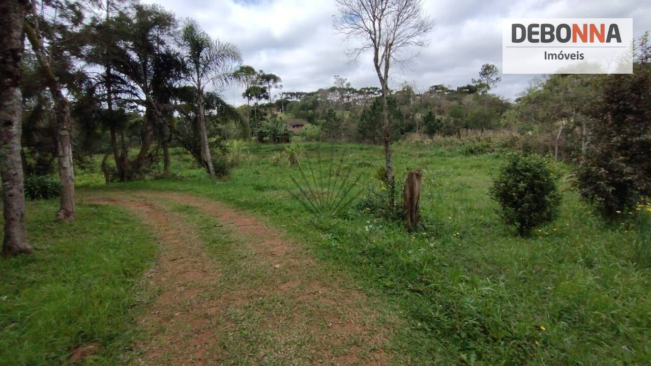 Terreno Vila Conceição, Campo Largo - PR