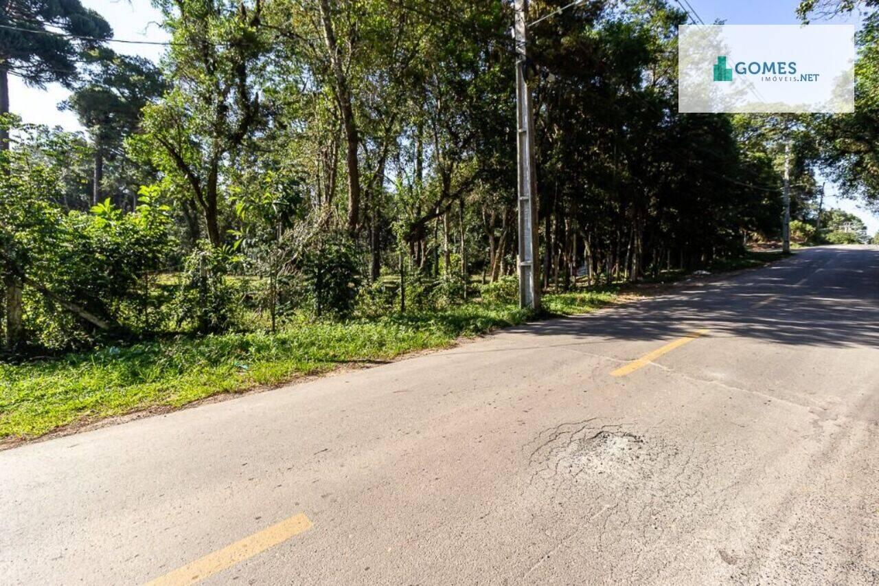 Terreno Borda Do Campo, São José dos Pinhais - PR