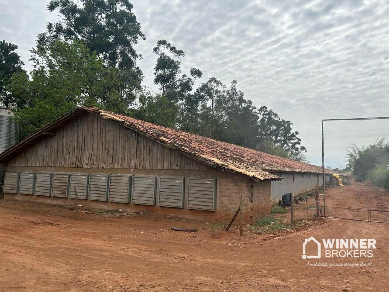 Sítio Bairro Rural, Munhoz de Melo - PR