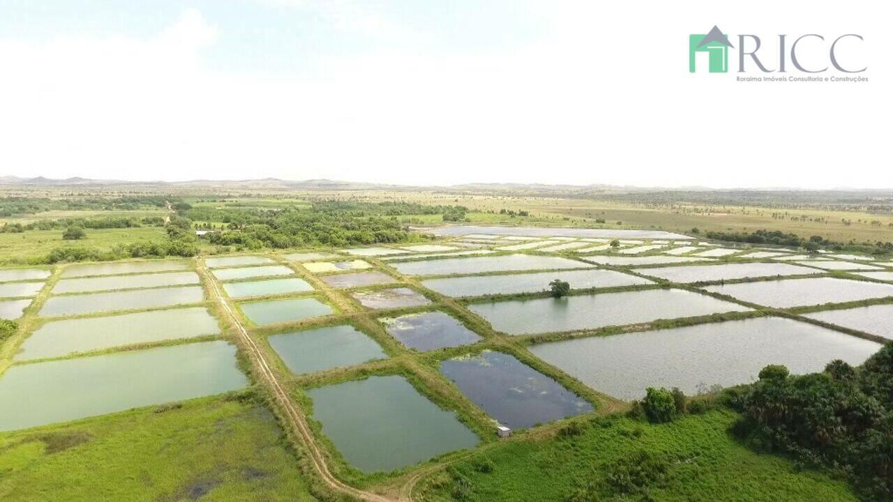 Fazenda Gleba Tacutu, Boa Vista - RR