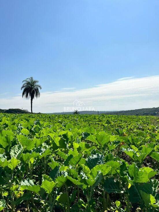 Rancho Três Lagoas - Igarapé - MG, Igarapé - MG