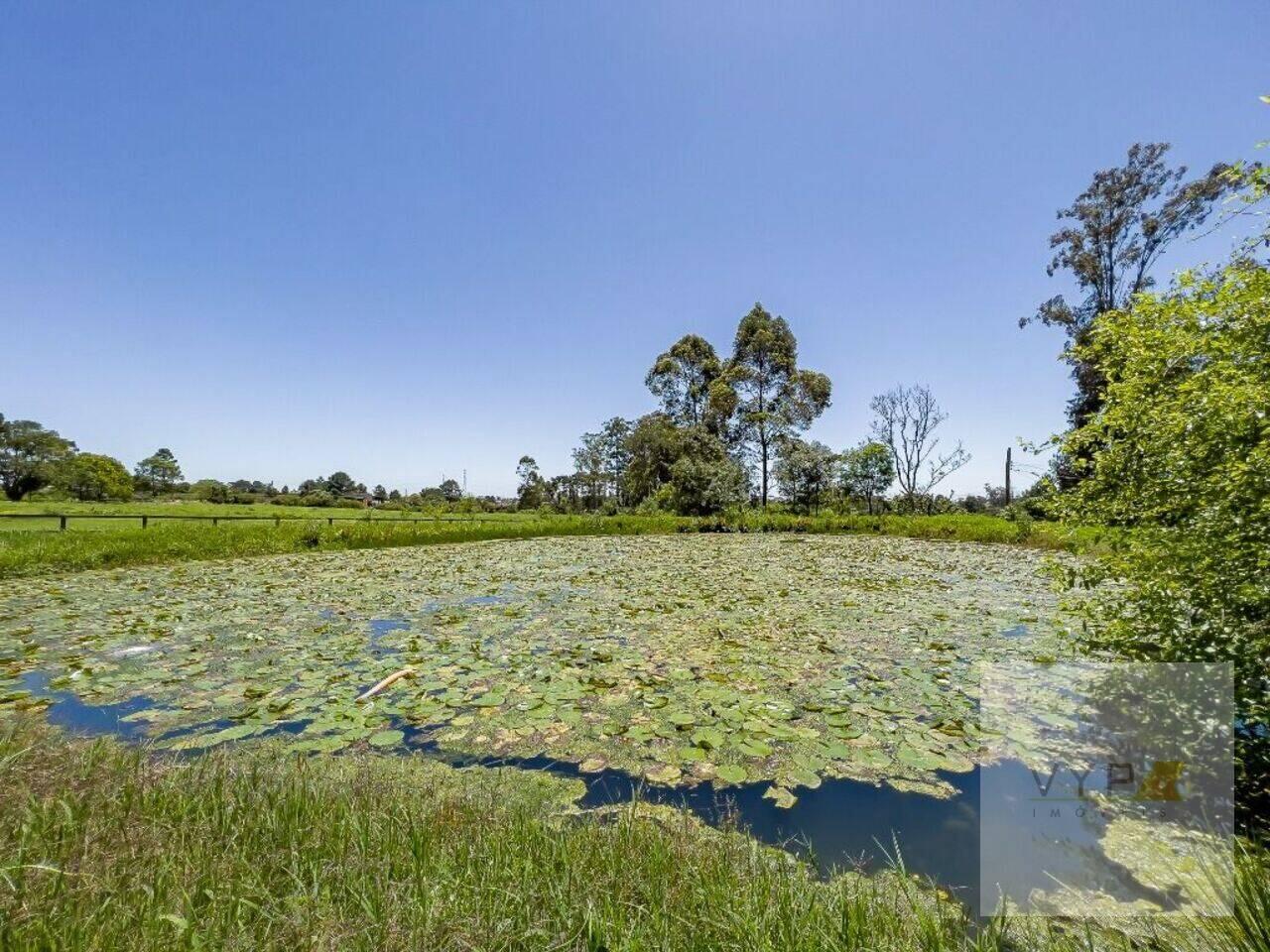 Haras Colônia Murici, São José dos Pinhais - PR