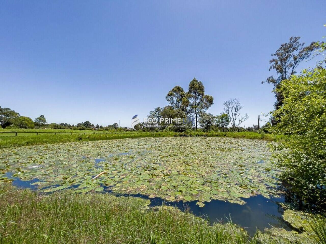 Haras Colônia Murici, São José dos Pinhais - PR