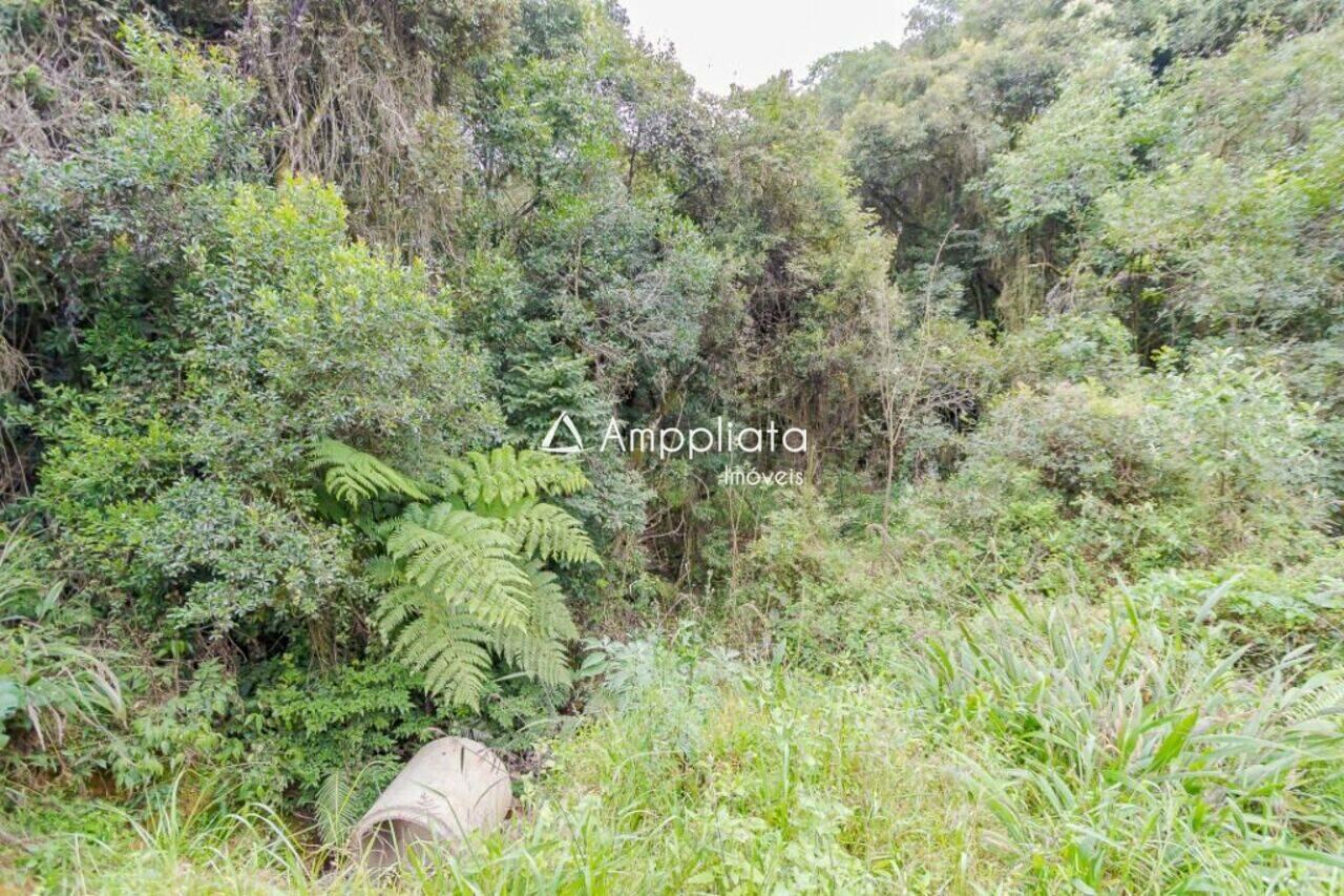 Chácara Colônia Marcelino, São José dos Pinhais - PR