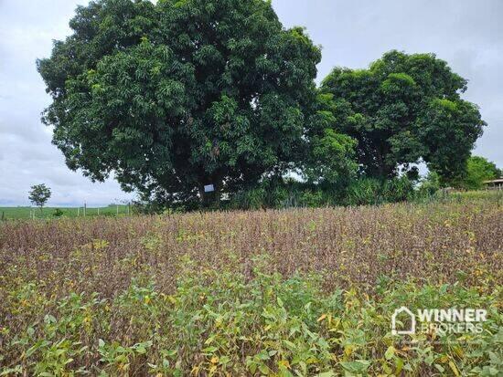 Área Rural  - Floresta - PR, Floresta - PR