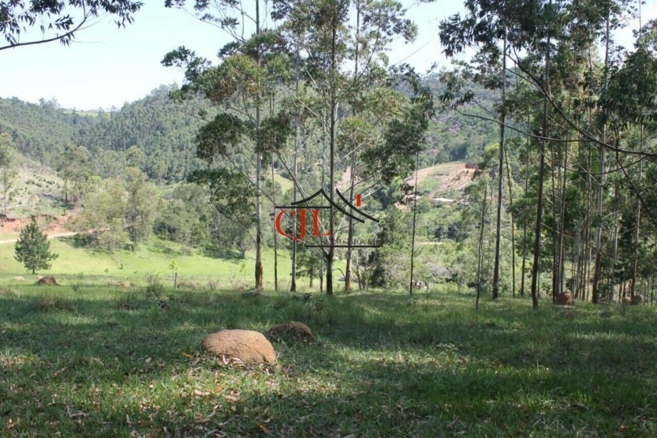 Sítio Centro, Salesópolis - SP