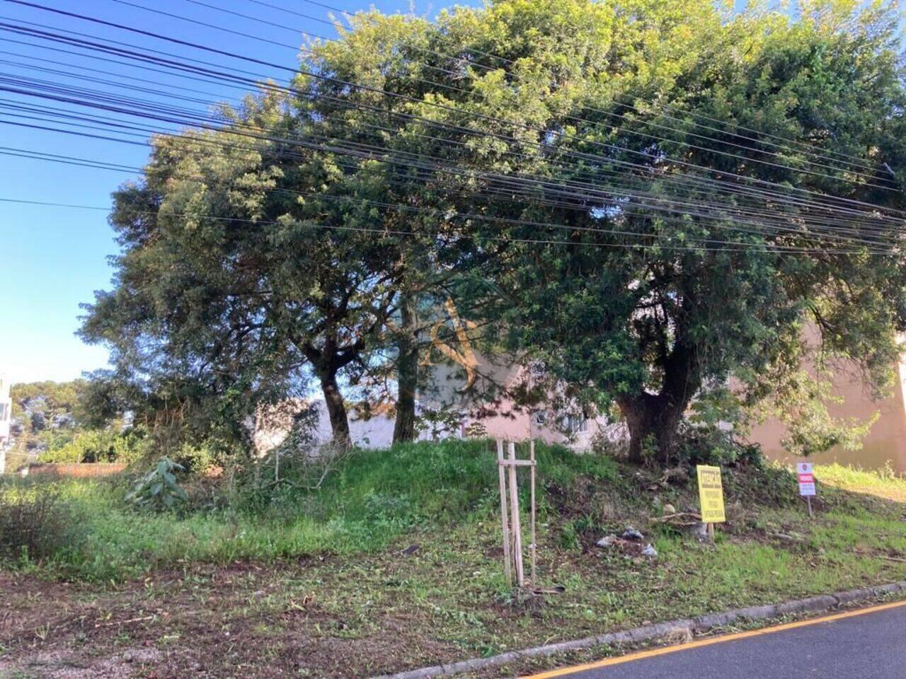 Terreno Silveira da Motta, São José dos Pinhais - PR