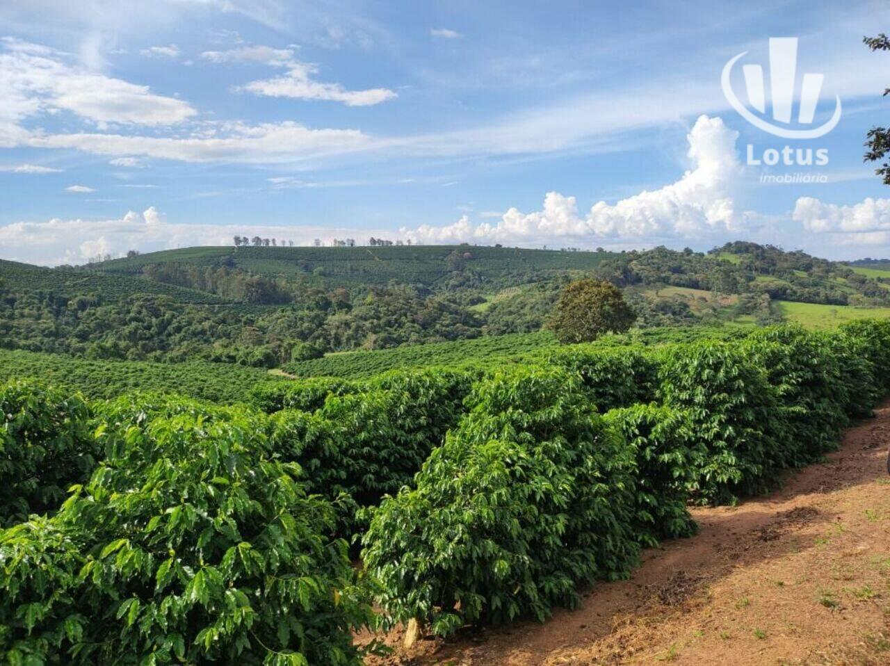 Fazenda Centro, Divisa Nova - MG