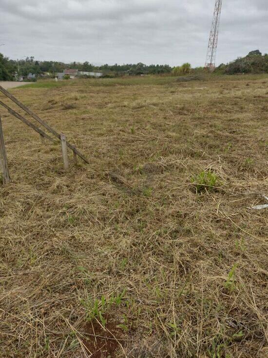 Terreno de 488 m² Linha Santa Cruz - Santa Cruz do Sul, à venda por R$ 250.000