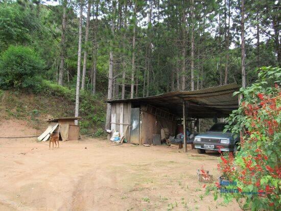 Campo do Coelho - Nova Friburgo - RJ, Nova Friburgo - RJ