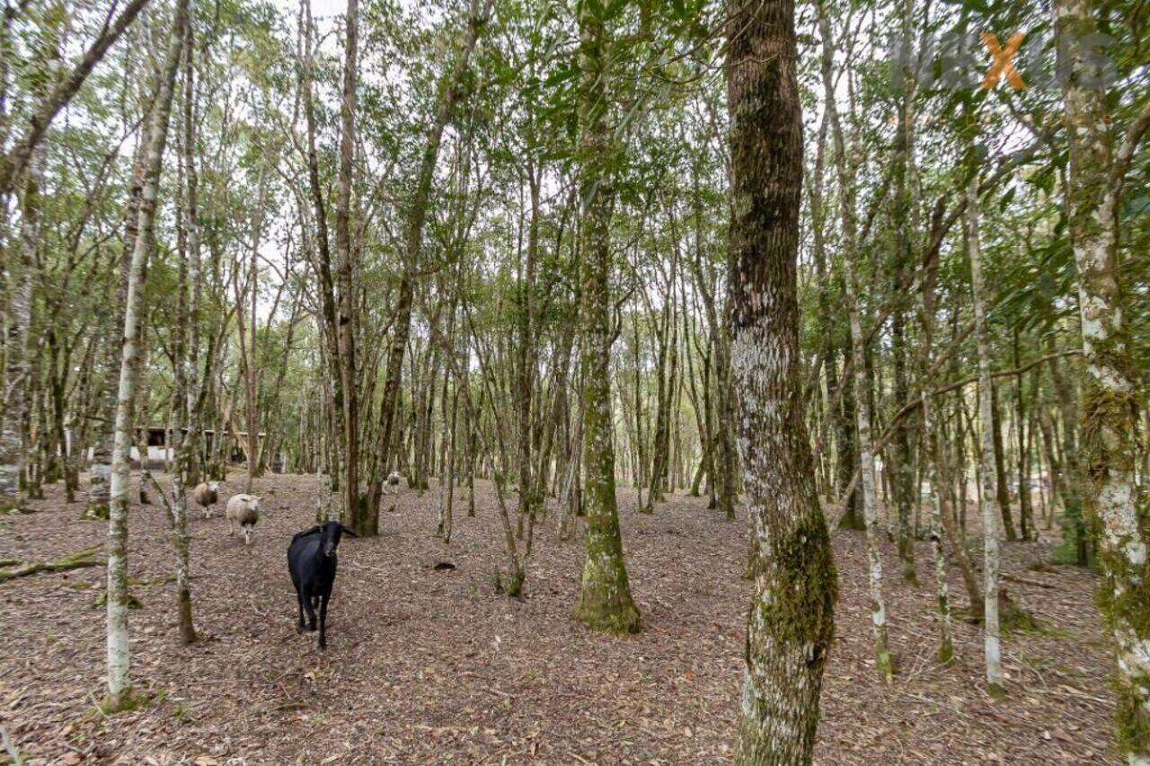 Chácara Mandassaia, Campina Grande do Sul - PR