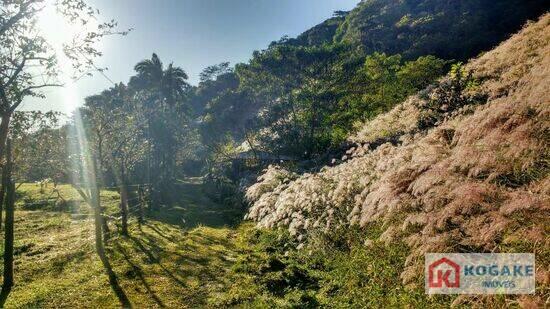 Horto Florestal - Ubatuba - SP, Ubatuba - SP