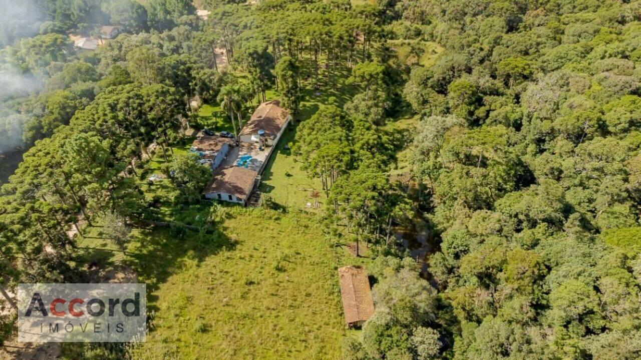 Chácara Borda Do Campo, São José dos Pinhais - PR