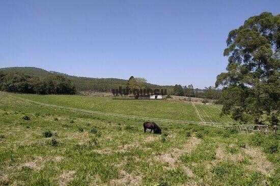 Zona Rural - Piedade - SP, Piedade - SP