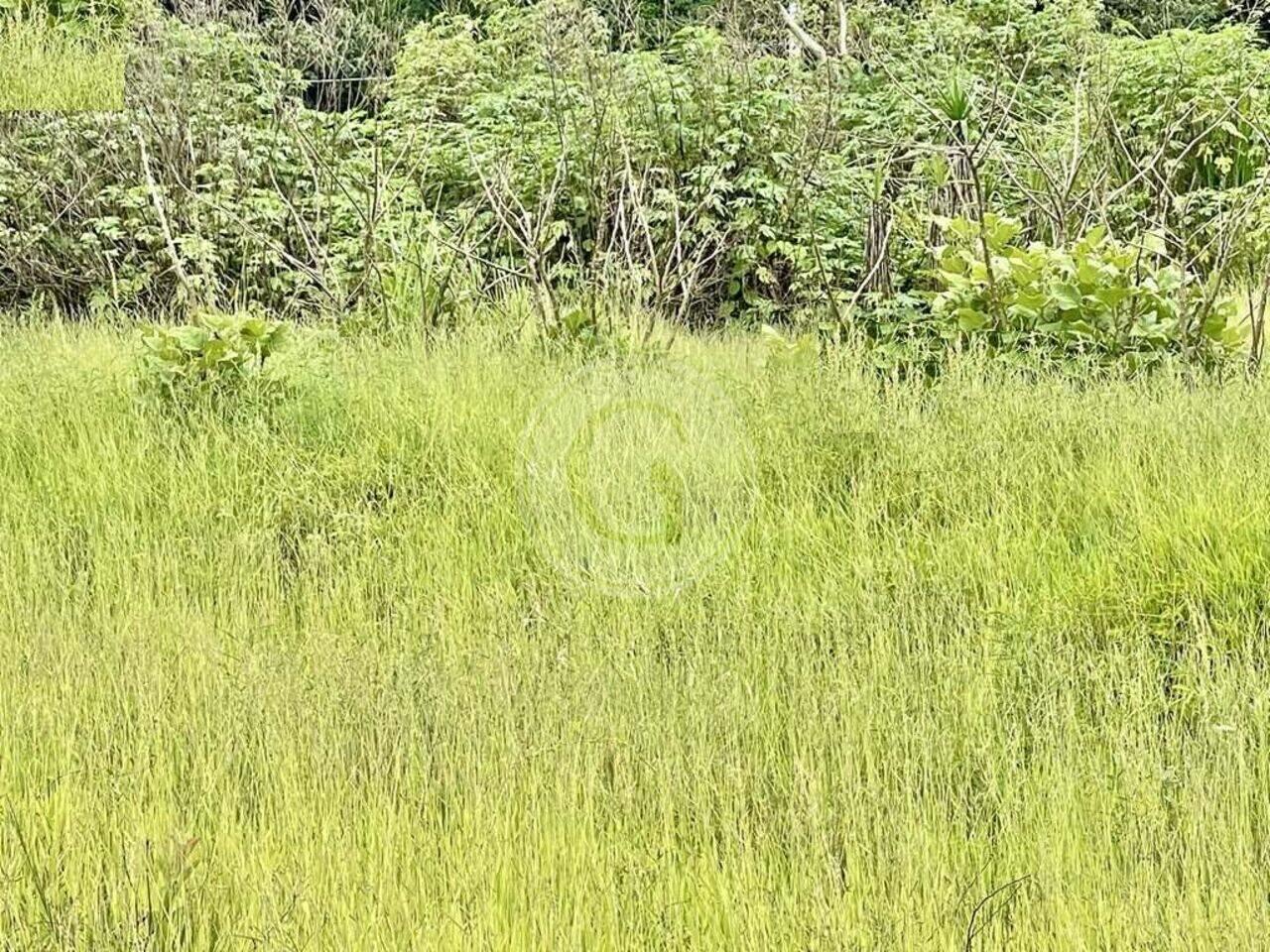 Terreno Granja Viana, Cotia - SP