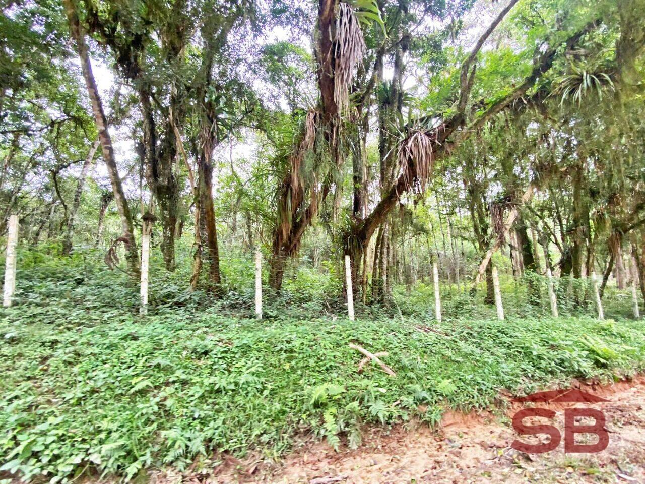 Área Cerro Azul, Cerro Azul - PR