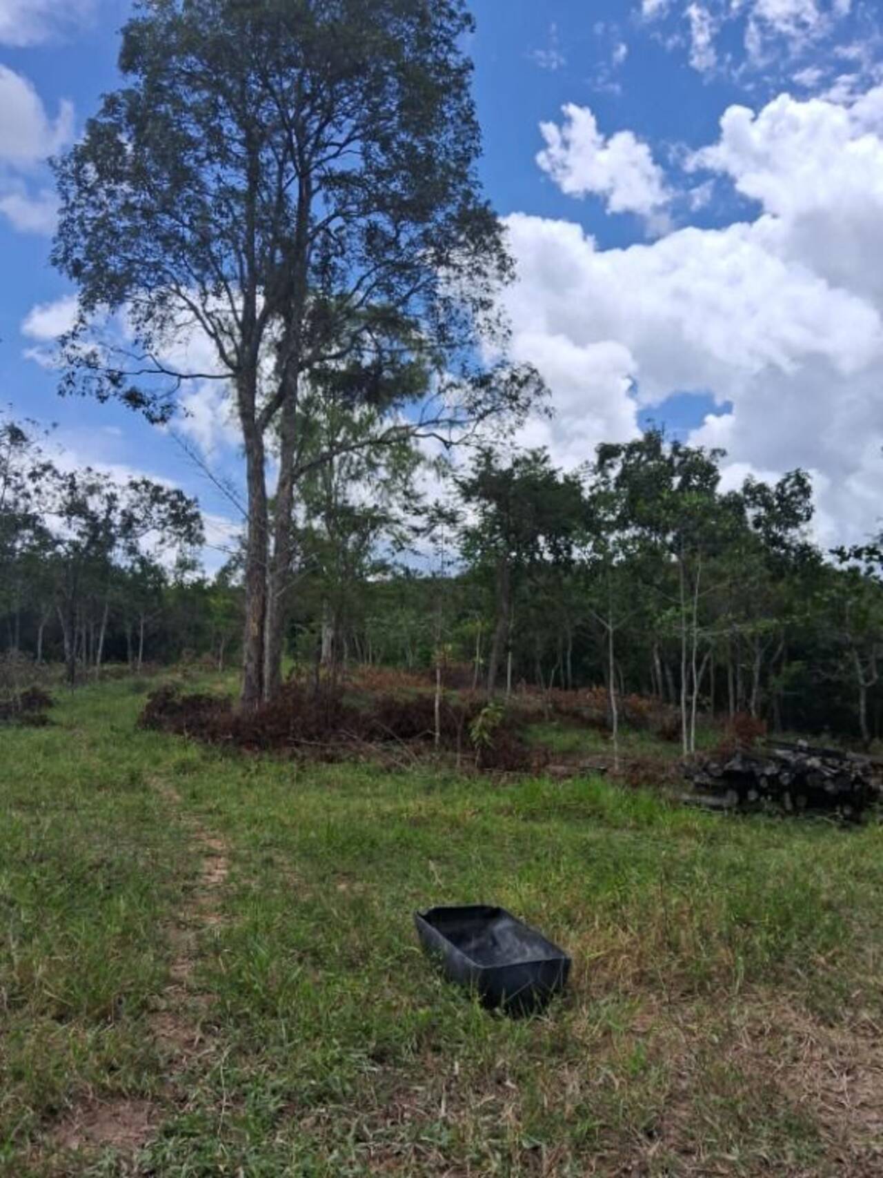 Área Bairro Rural, Abadiânia - GO