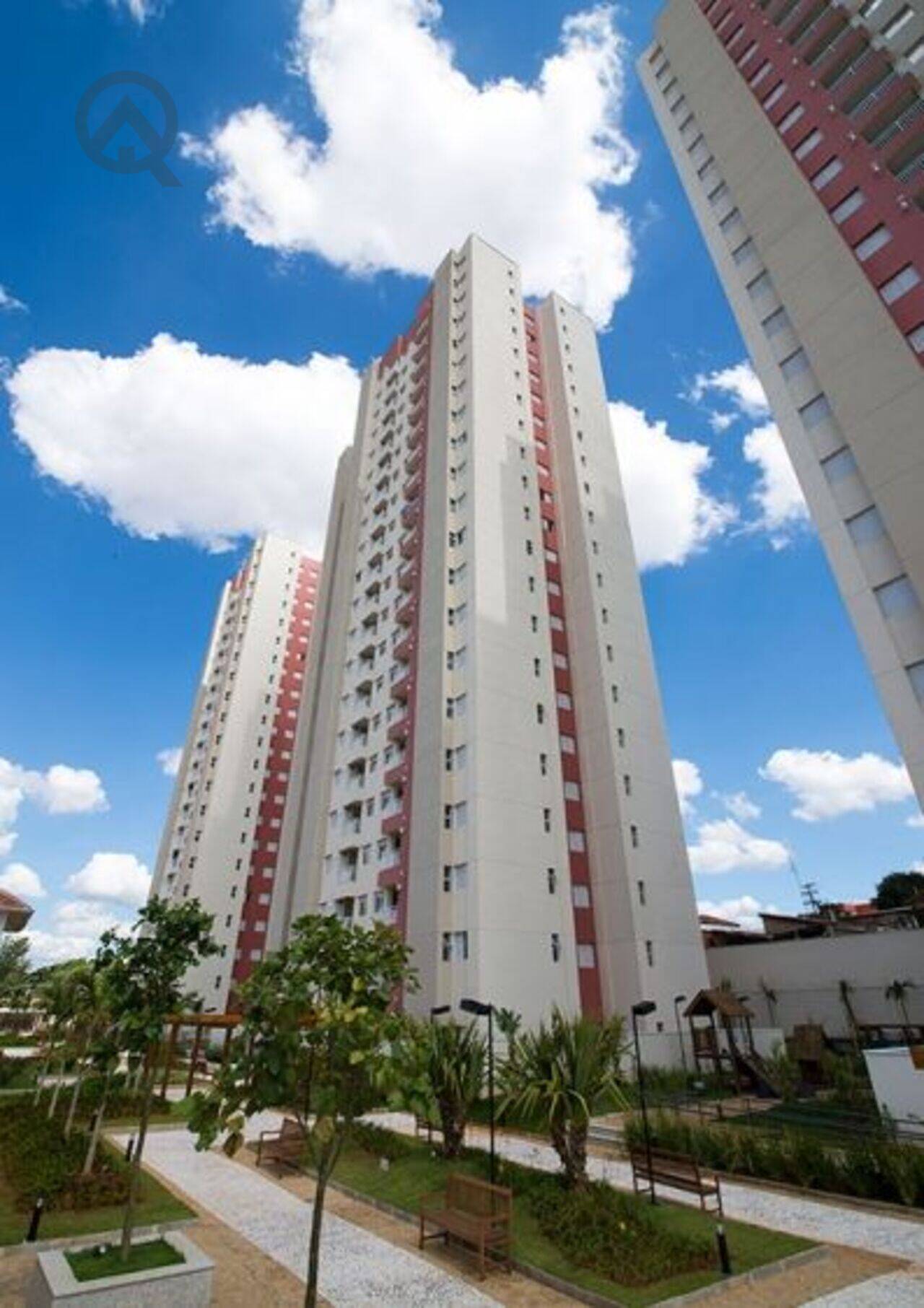 Apartamento Ponte Preta, Campinas - SP
