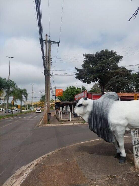 Candangolândia - Candangolândia - DF, Candangolândia - DF