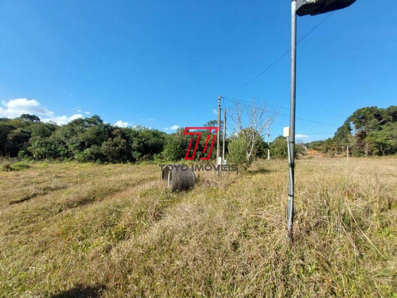 Chácara Zona Rural, Balsa Nova - PR