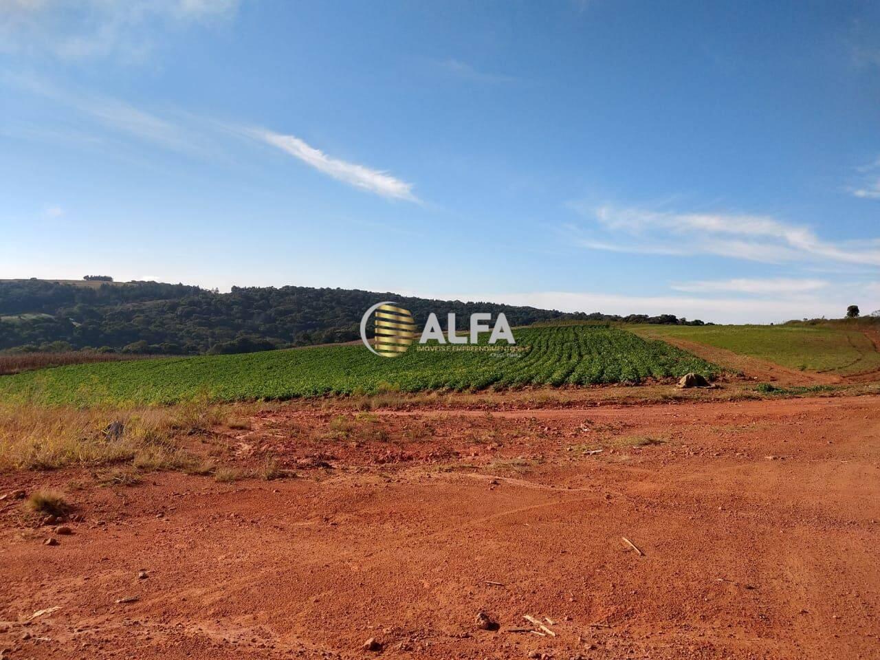 Fazenda Zona Rural, Senador Amaral - MG