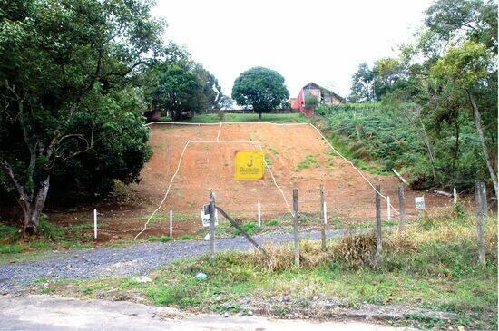 Novo Horizonte - Juiz de Fora - MG, Juiz de Fora - MG