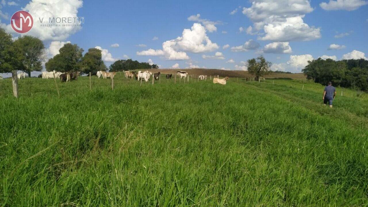 Fazenda Area Rural, Nova Laranjeiras - PR