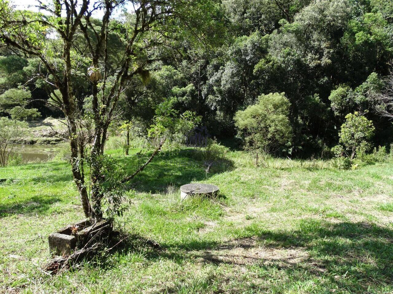 Chácara Area Rural, São José dos Pinhais - PR