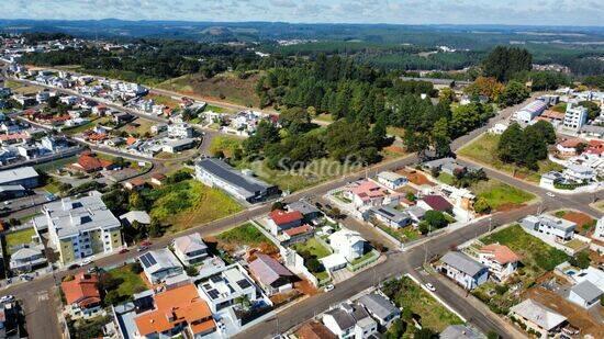 Berger - Caçador - SC, Caçador - SC