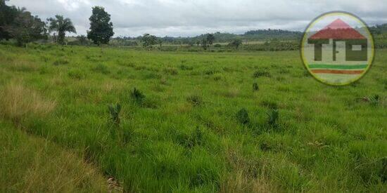 Fazenda Zona Rural, Novo Repartimento - PA