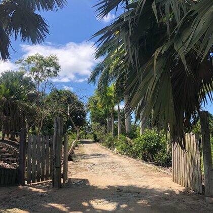 Terrenos à venda Vale das Palmeiras