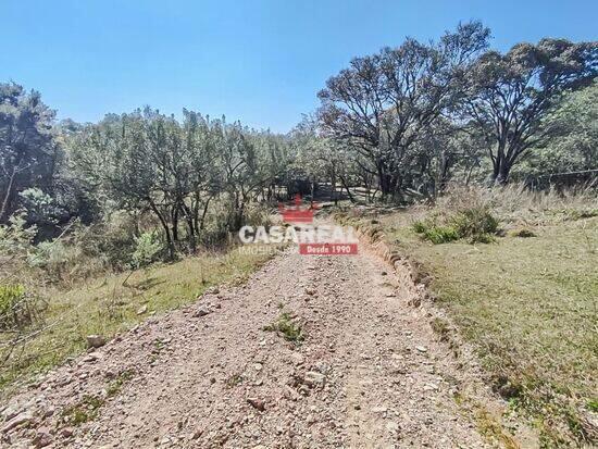 Zona Rural - São José dos Pinhais - PR, São José dos Pinhais - PR