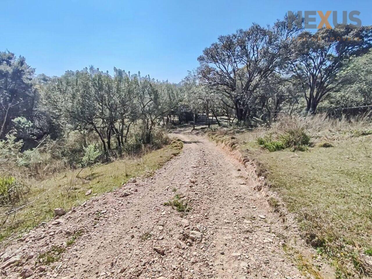 Chácara Zona Rural, São José dos Pinhais - PR