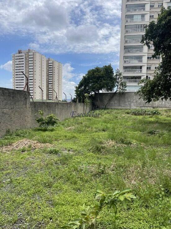 Terreno Tatuapé, São Paulo - SP