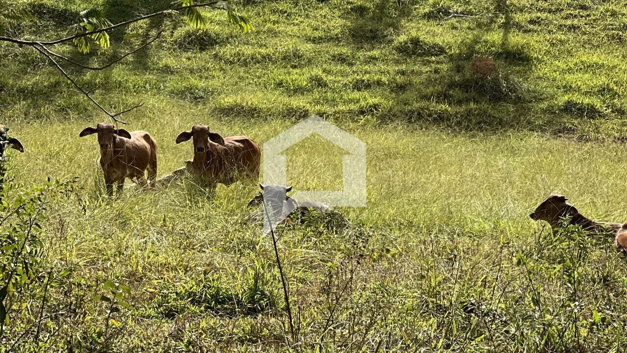 Terreno Corrego São Bento, Iapu - MG