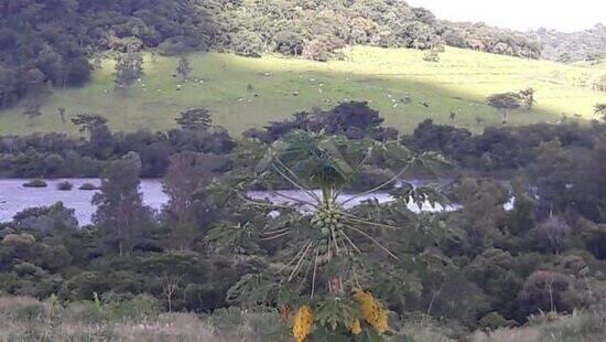 Bairro Rural - Ibiporã - PR, Ibiporã - PR