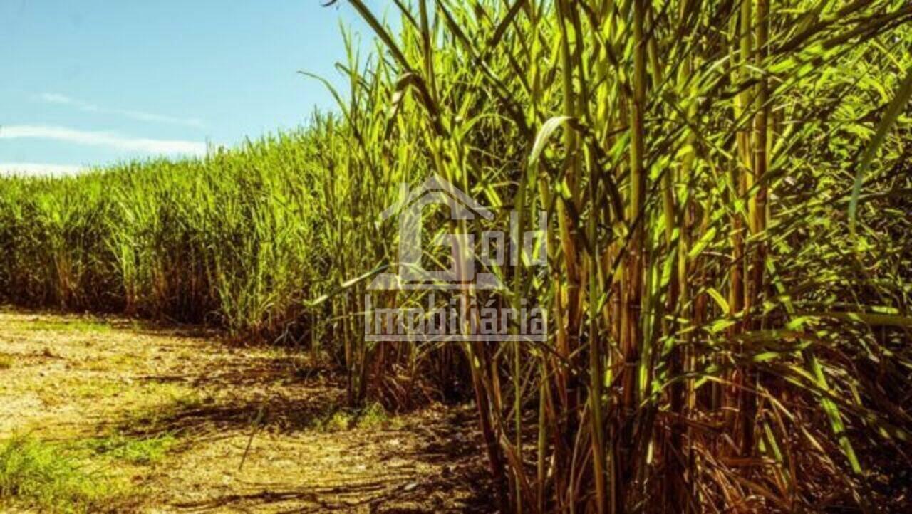 Sítio Zona Rural, Santa Rita do Passa Quatro - SP