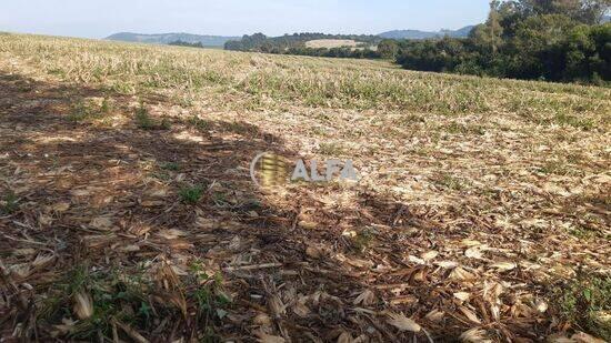 Zona Rural - Cordislândia - MG, Cordislândia - MG