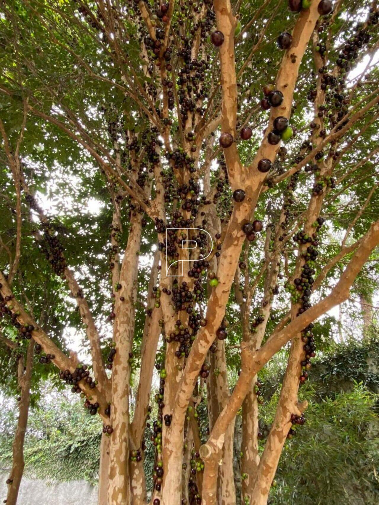 Casa Parque Primavera, Carapicuíba - SP