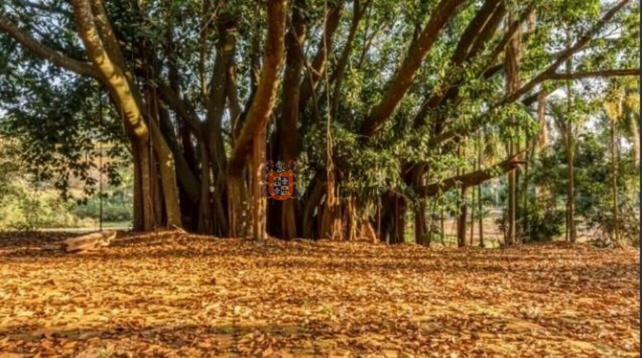 Fazenda Centro, Morungaba - SP