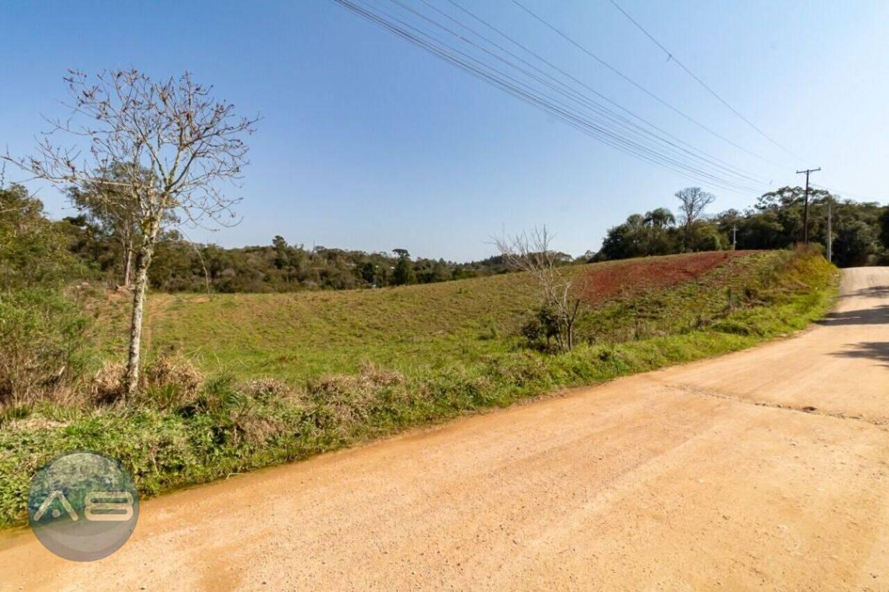 Terreno São Sebastião, São José dos Pinhais - PR