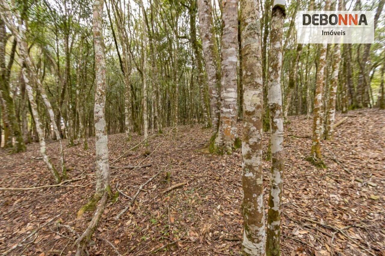 Chácara Mandassaia, Campina Grande do Sul - PR