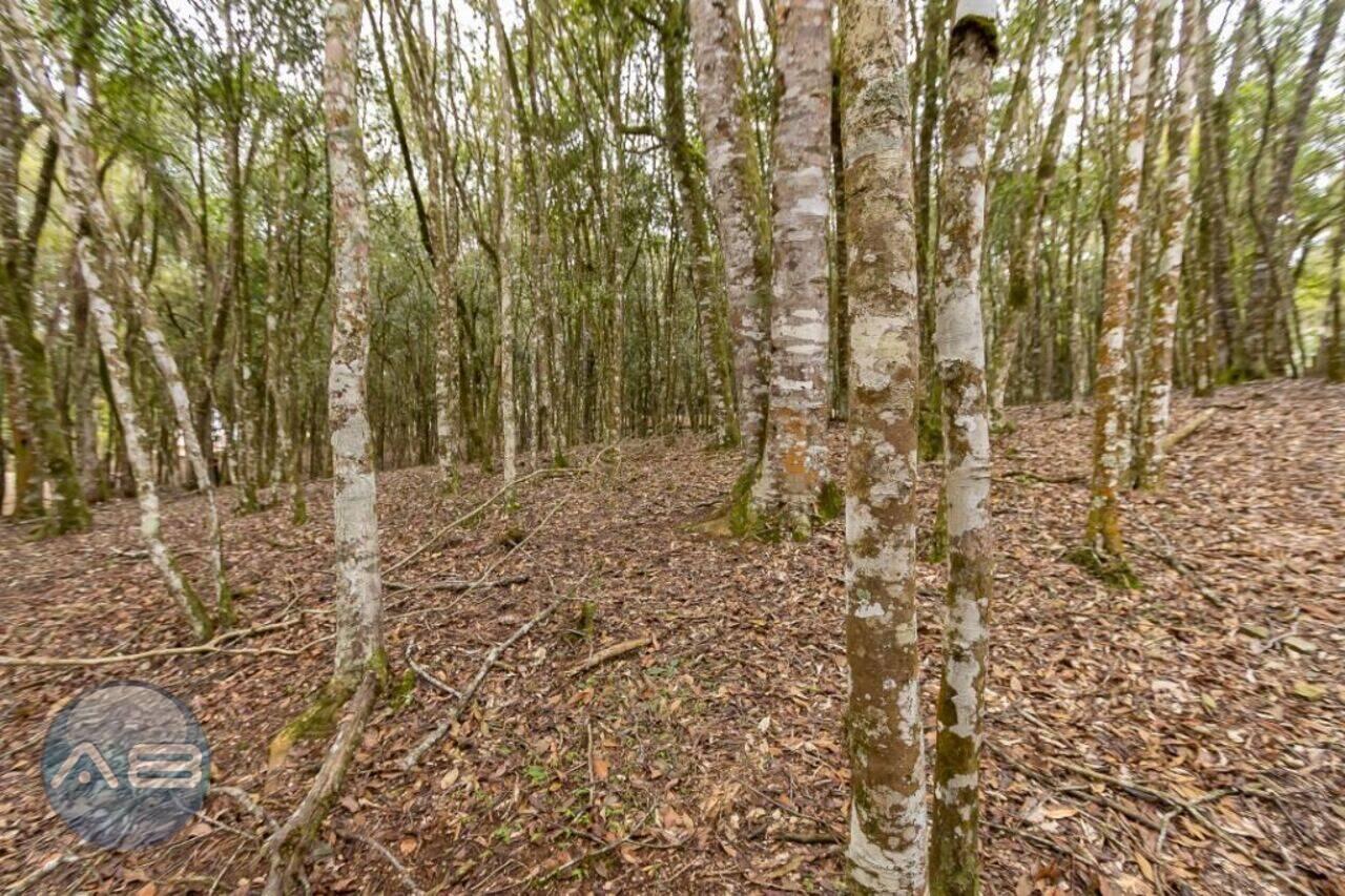 Chácara Mandassaia, Campina Grande do Sul - PR