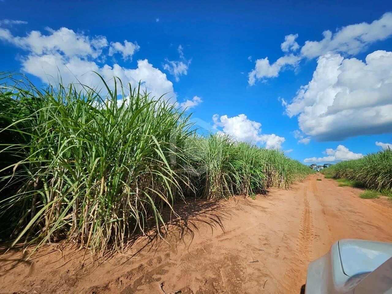 Fazenda Zona Rural, Cosmorama - SP