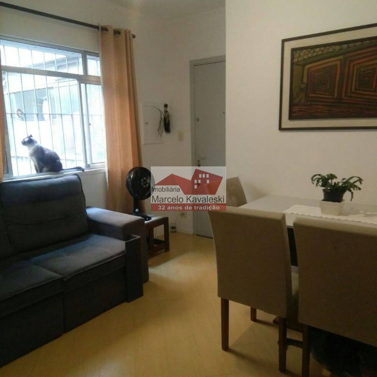 Apartamento Cambuci, São Paulo - SP