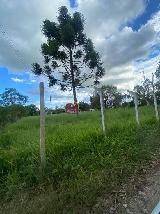 Pinherinho  - Taubaté - SP, Taubaté - SP