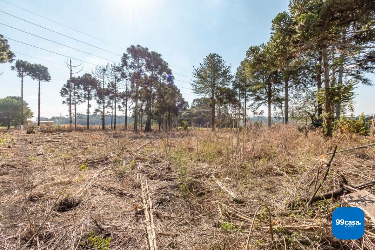 Terreno Rio Pequeno, São José dos Pinhais - PR