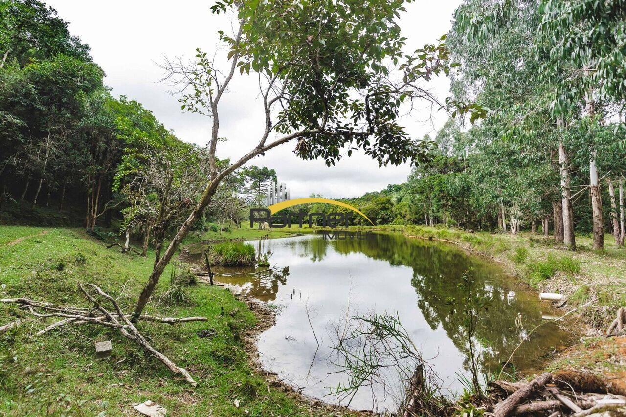 Chácara Zona Rural, Tijucas do Sul - PR