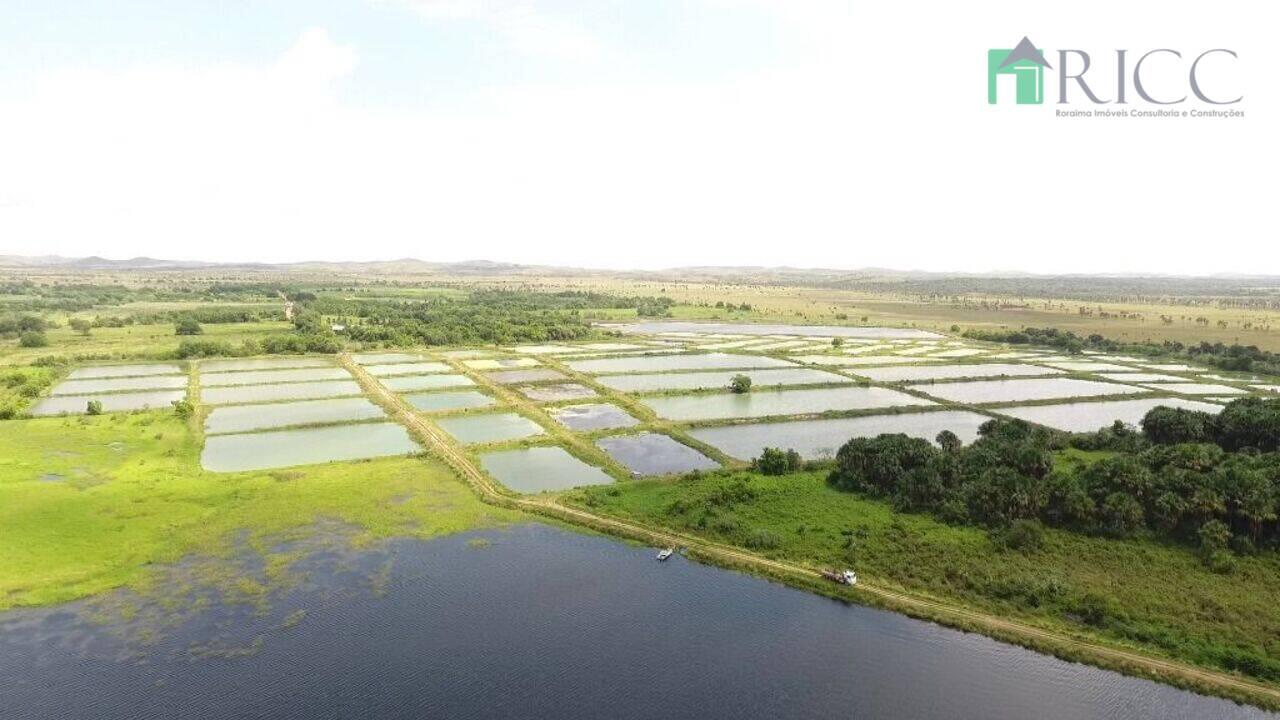 Fazenda Gleba Tacutu, Boa Vista - RR